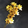 Amarillo