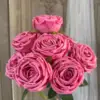 rose red