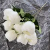 White 9