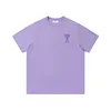 Taro viola a0001
