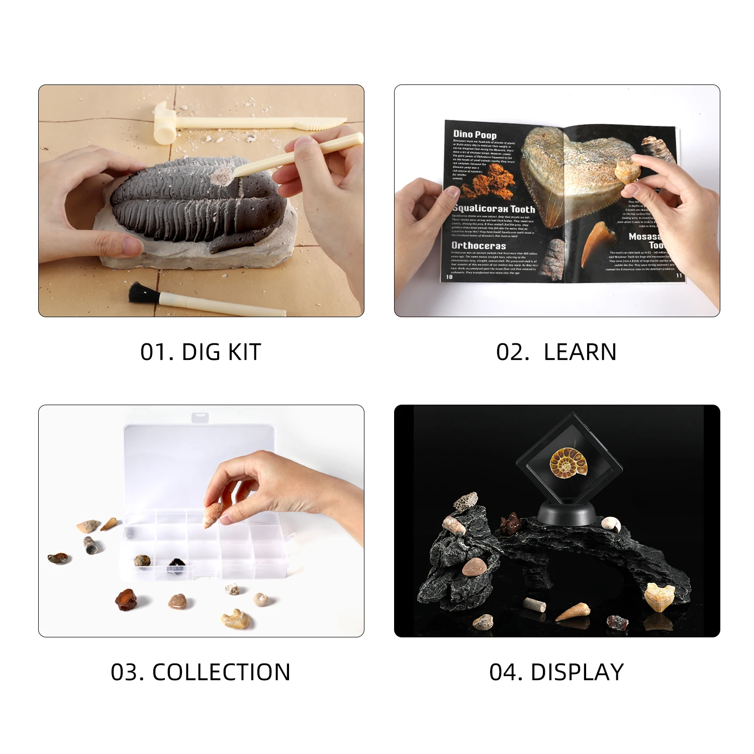 Educational Stem Dig Out Your Pearls Toys Dig Kit National FOSSIL Diy Excavation Kits