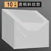 (Pack of 10) Transparent Twill Document Bags