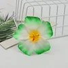 Bord vert
