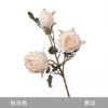 Autumn White (3-piece set with burnt edges)