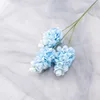 Une branche bleu clair