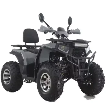 Aotong GY6 Motor 200CC/250CC Automatic Quad Bike for Adults 10INCH/12INCH Farm ATV with Electric Start 12V Chain Drive 2WD