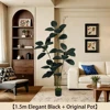150cm King Kong Tree