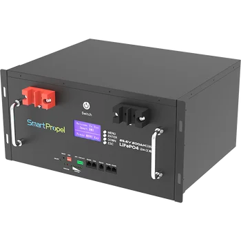51.2V 48V Lithium Ion Battery 100ah 200ah 300ah Capacity 51.2V Lifepo4 Energy Storage System for Solar System Rack Mount