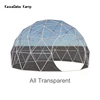 TOUS Transparent