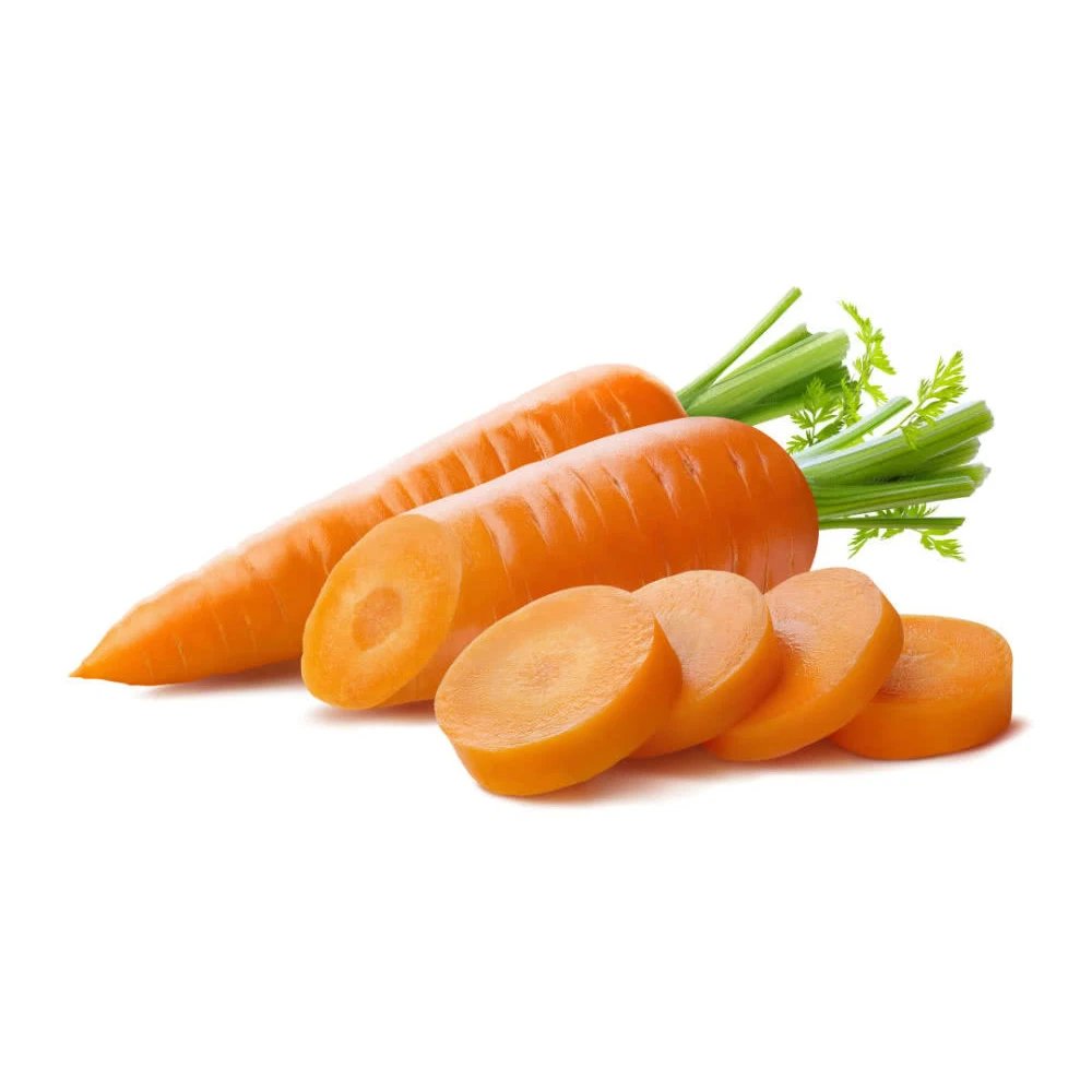 wholesale fresh vegetables carrots other fresh vegetables fresh