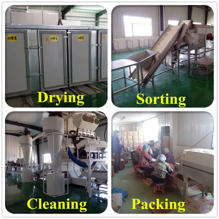 
Китайская натуральная Органическая сушеная ягода Годжи ningxia berri 