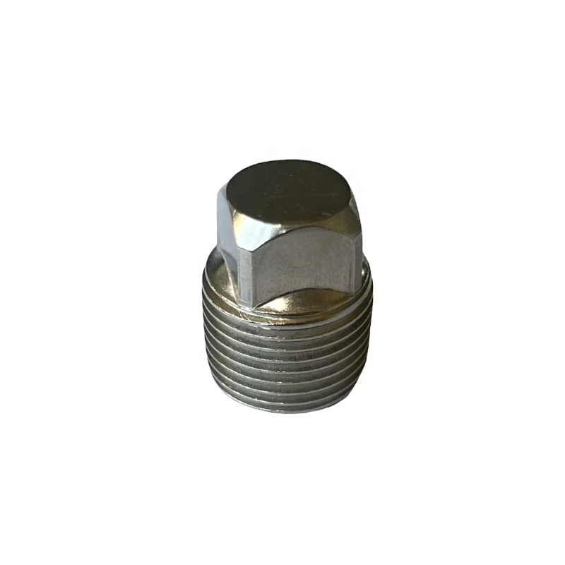 China factory stainless stainless end pipe end pipe China plug (customizable)