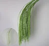 I germogli di salice verde pendono con grazia.