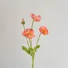 Dégradé rose à blanc