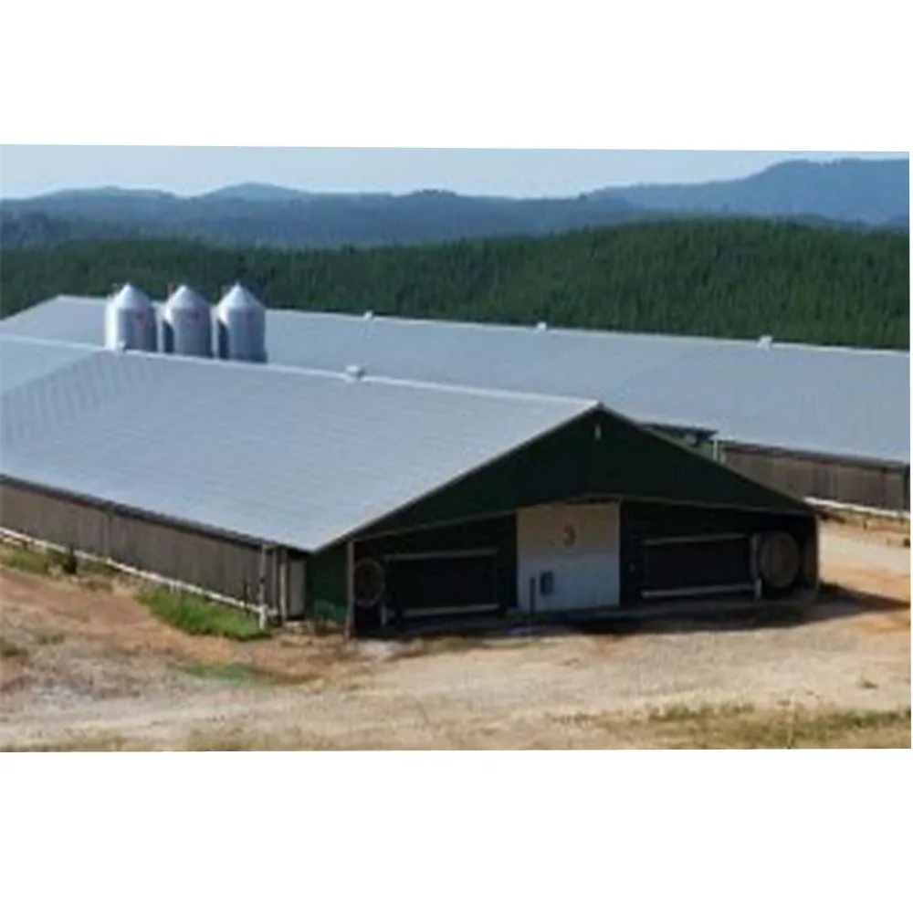Hen Farm Structure Alibaba.com: Prefab Steel Structure Poultry Farm with Environmental ...
