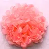 Red  Watermelon MF1308