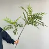 Ten Great Merits - 2 Branches