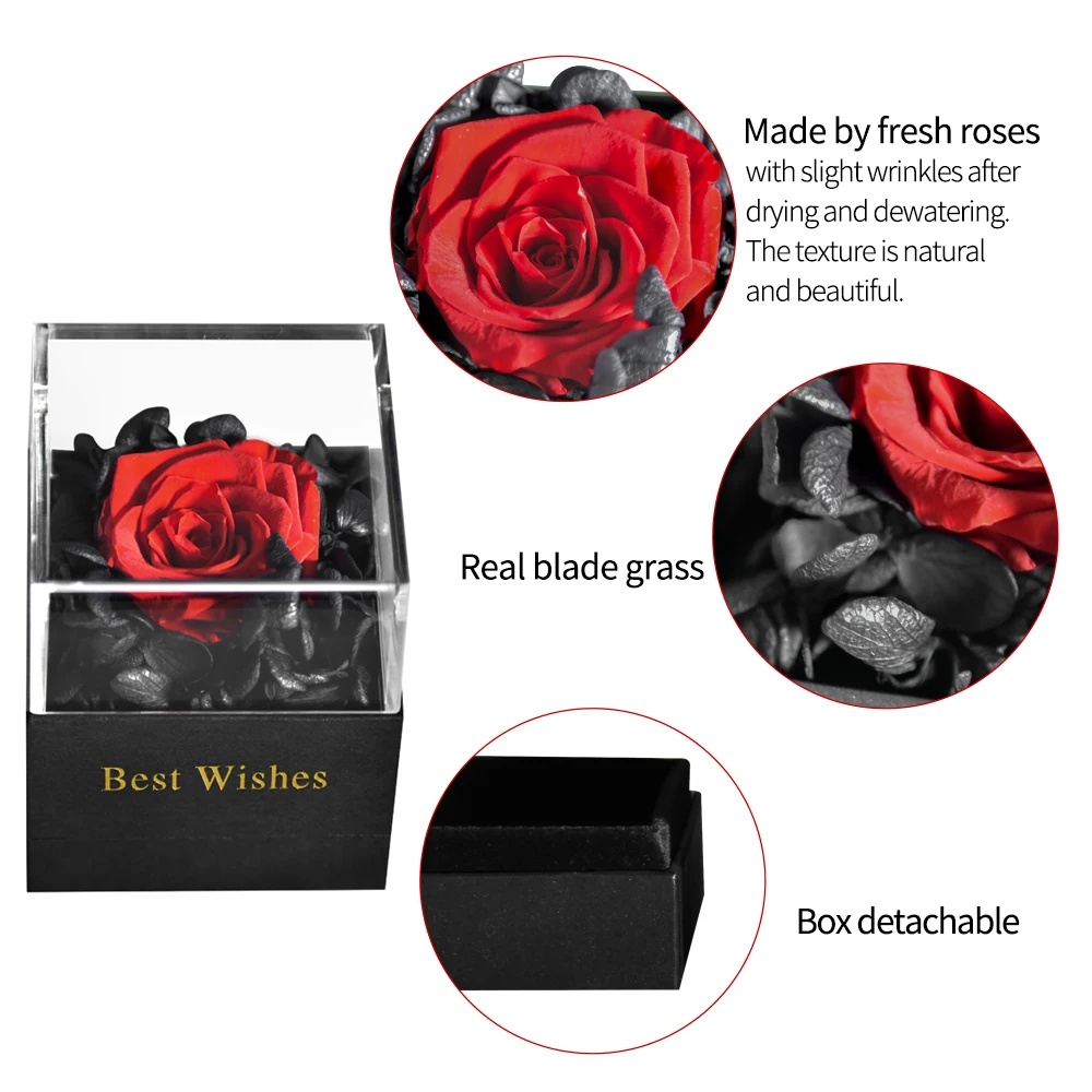 Uo Valentines Mother Day Eternal Rose Preserved Rose Flowers In A ...