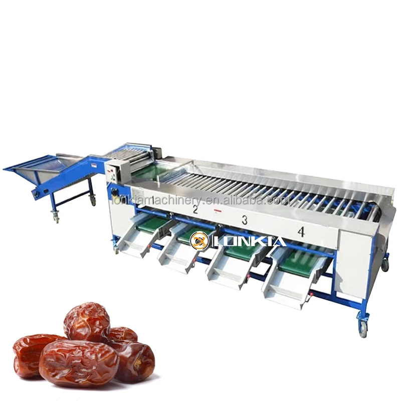 Large Capacity Automatic Date Palm Washing Machine for Efficient Date Cleaning Drying Sorting Processing Line