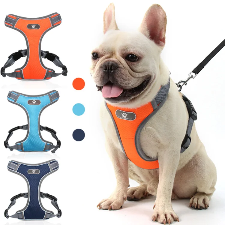 dog backpack harness