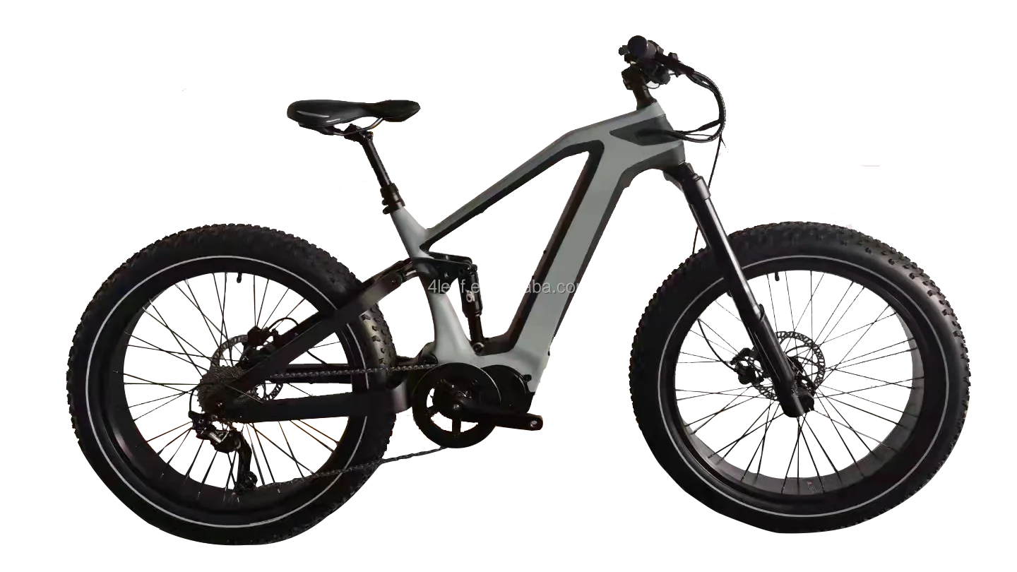 Loki 29er Mtb Electronic Bike Bafang M620 M560 Electric Bike Carbon Fiber Lithium Battery 48v