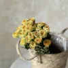 30 Avocado Flower Heads Have a Diameter of about 1-3cm