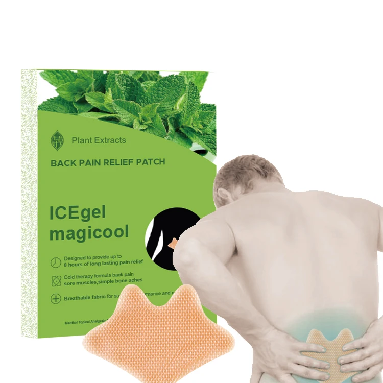 Back Pain Patches Extra Strength Flexiback Lumbar Spine Pain Relief Patches Lower Back Pain at Spine