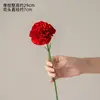 One bright red short carnation
