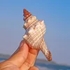 10-11 cm