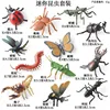 ชุด HFM Mini Insect 12 สไตล์หลากสีสัน ประกอบด้วย