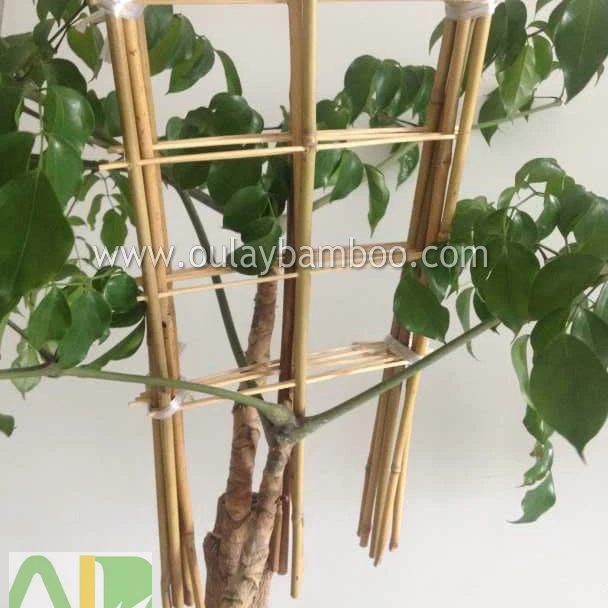 50厘米花园竹棚架的配套厂 Buy 植物盆栽棚架 葡萄架 格子product On Alibaba Com
