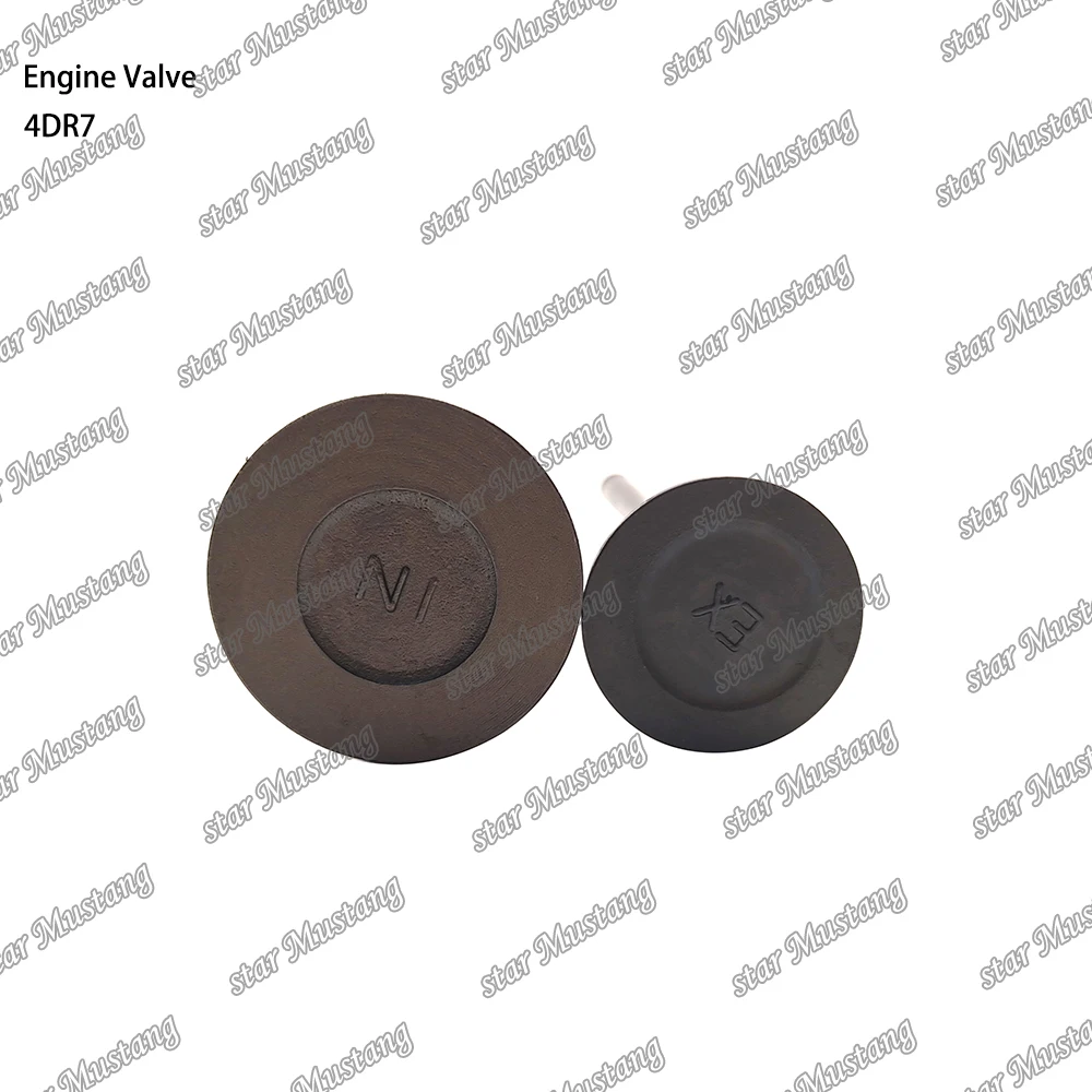 4DR7 Engine Valve Suitable for Mitsubishi Engine Parts