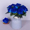 Color 8
