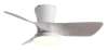 Grano de madera gris.