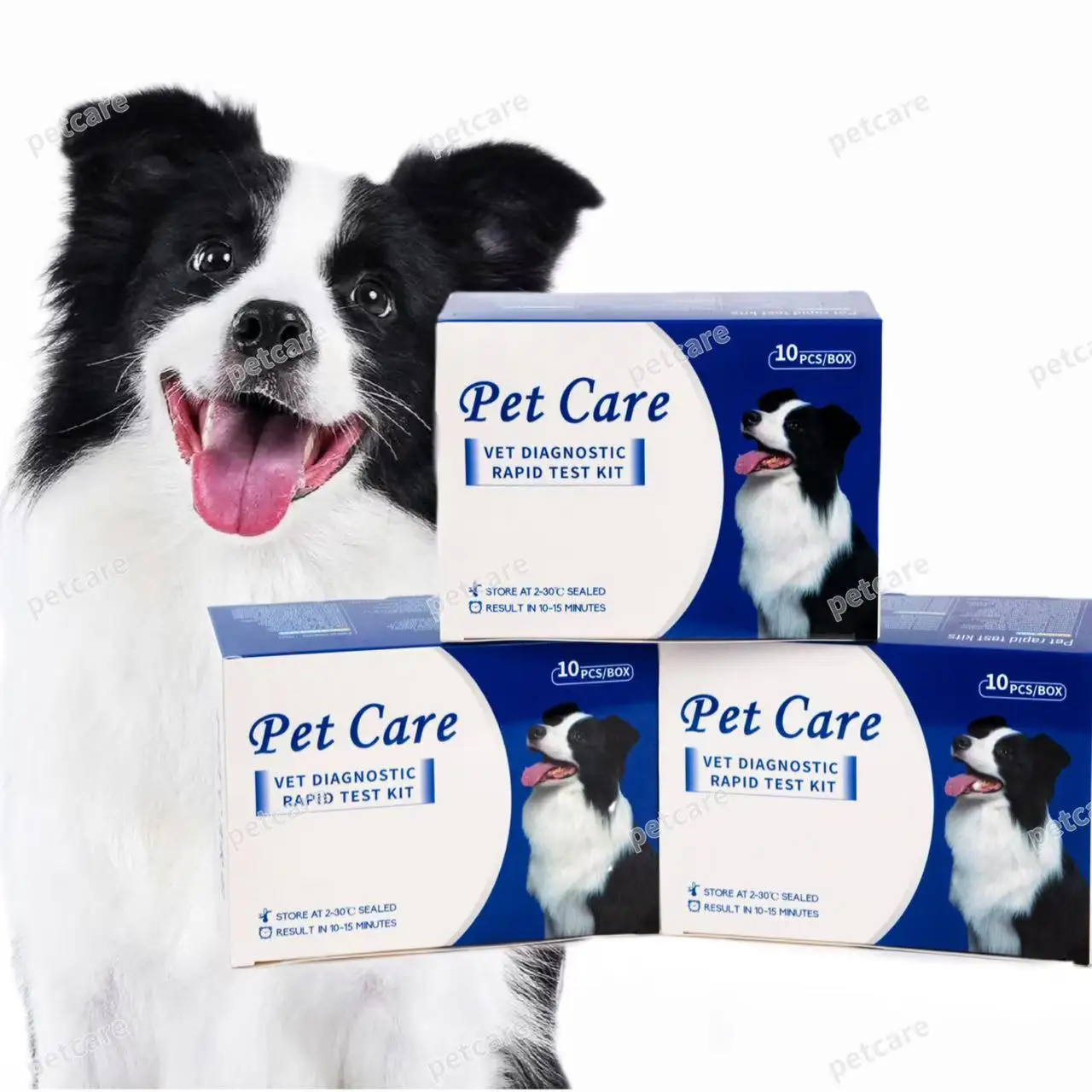 Canine Parvovirus/ Corona/ Giardia /Rota Antigen Combo Test Pet Disease ...