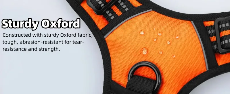 Hot Selling Nylon Outdoor Dog Harness Leash Suitable for Small Medium Large Dogs Pet Products manufacture