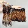 Cierre de encaje 4x4 de 3 tonos de color.