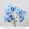 Blue Morning Glory