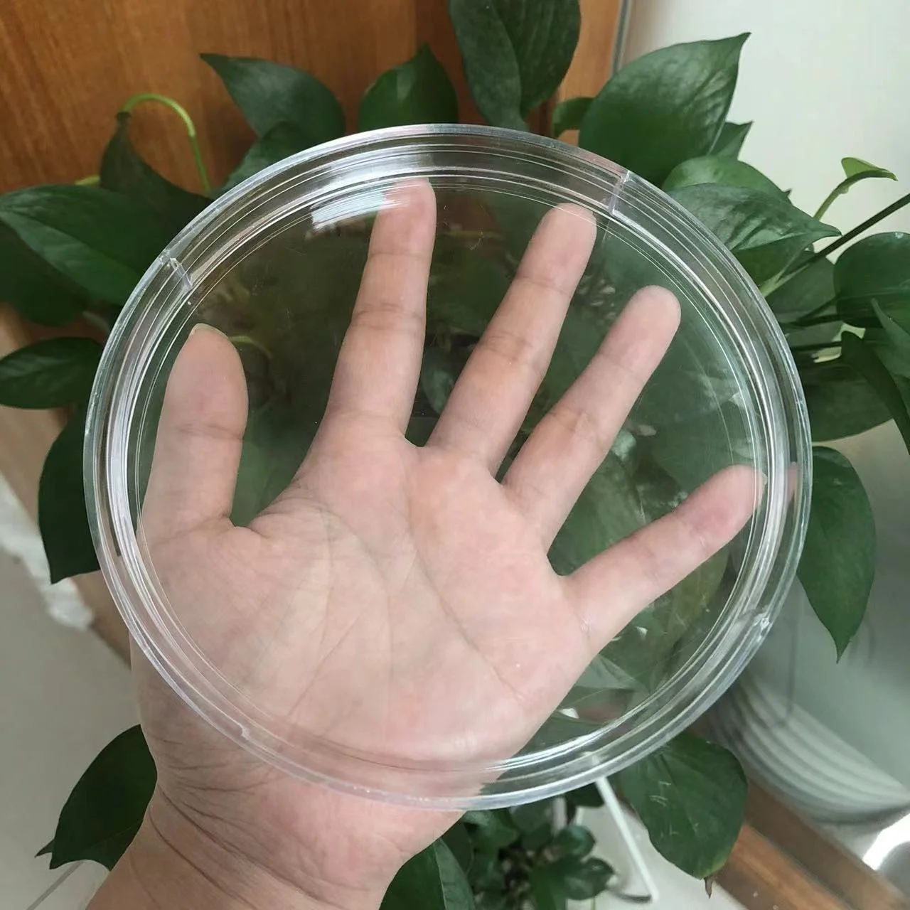 120mm Dust Proof Coin Capsule - Perfect for Coin Collectors
