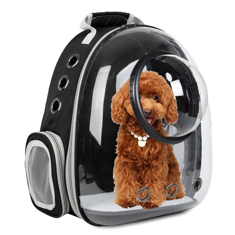 transparent pet bag