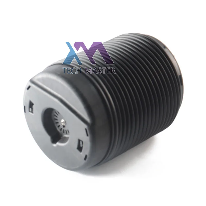 XC90 Rear air spring (1).jpg