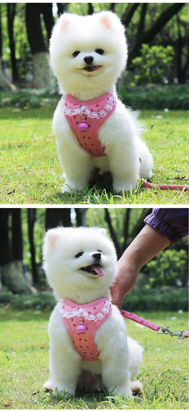 Newly designed cute dog harness with small bell