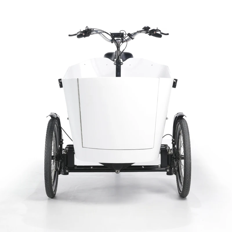 Factory Wholesale Price Durable Heavy Loading Cargo Electric Bike 3 Wheel Tricycle Bike Family Trike From China