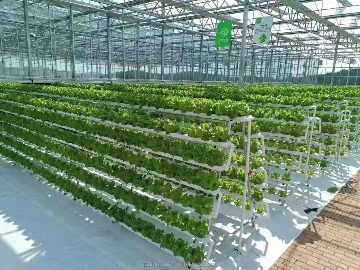 hydroponic channel