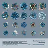 A Blue Rhythm Flower Language