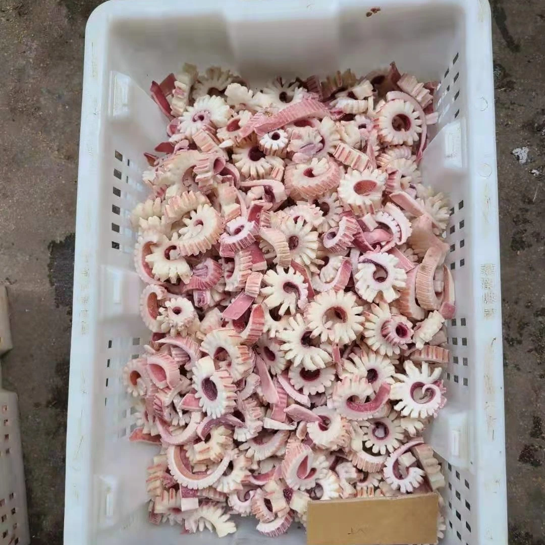 Обработанный кальмар приготовленный замороженный индийский крылышко срезанный