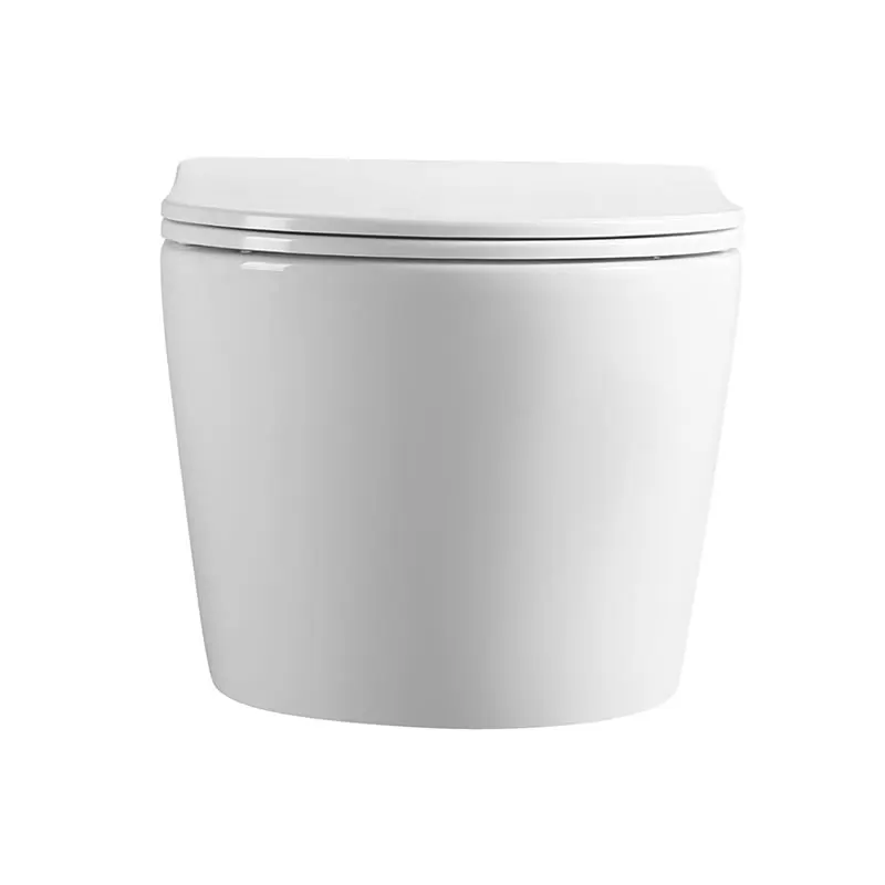 Chaozhou Ceramic Factory Sanitary Ware Rimless European Wall Hung