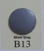 B13 silver grey