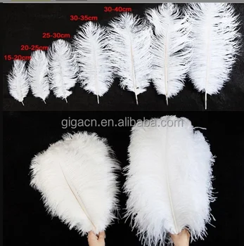 GIGA Wholesale Wedding Stage Decoration OEM wall Size Colorful Soft Black white 50-55cm Ostrich Feathers