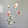 Rosa latte